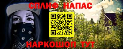 трава Бийск