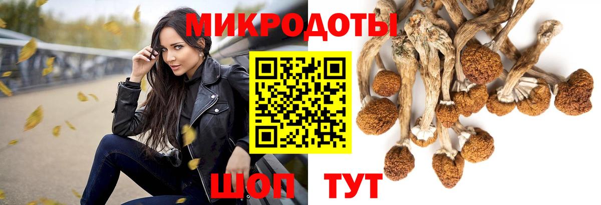 Псилоцибиновые грибы прущие грибы  Вход с VPN  Псилоцибиновые грибы Psilocybe  Шуя 
